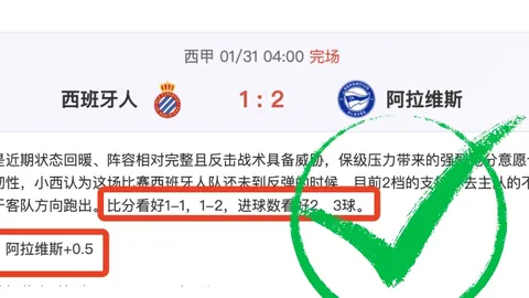 马德拉国民对阵波尔图比赛因浓雾受阻，调整至1月16日重启