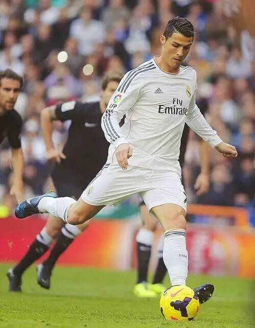 出道数十年 出道数十年